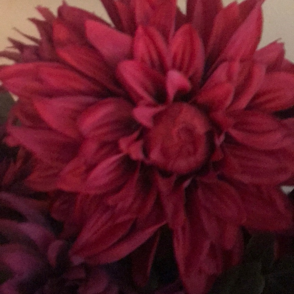 Meet your Posher, Mary